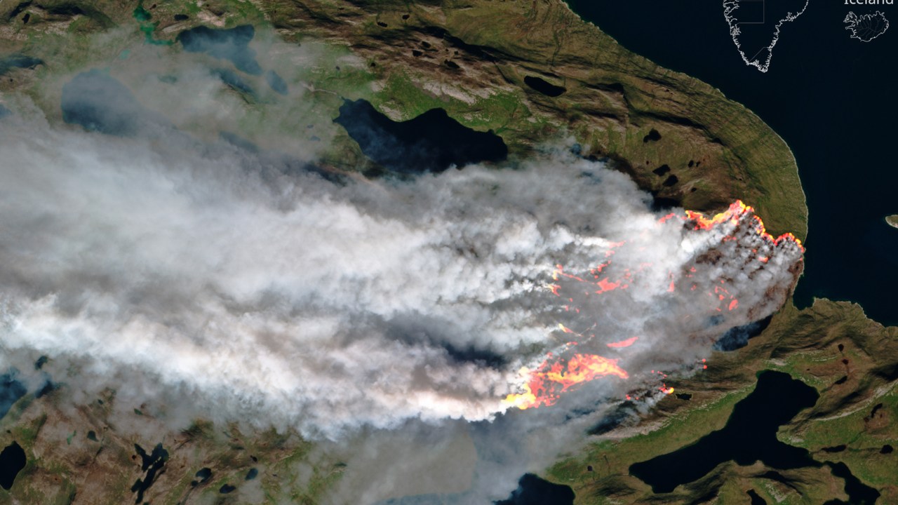 Incêndio florestal incomum na Groenlândia
