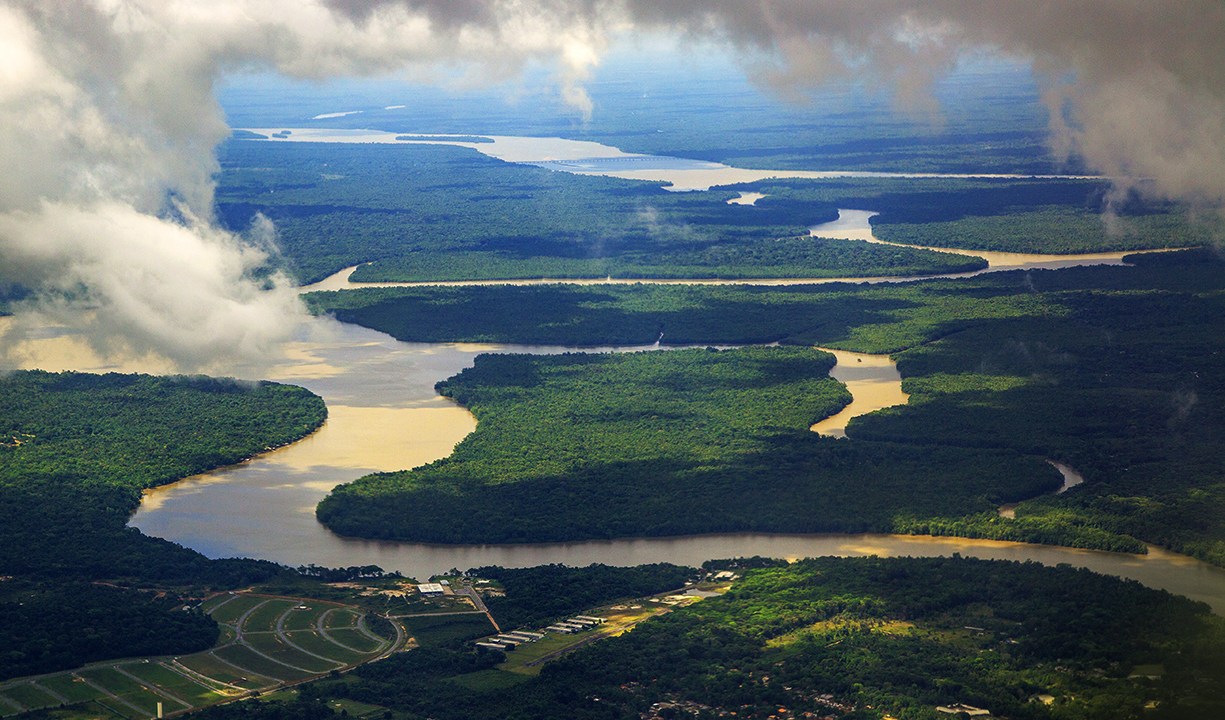 Floresta amazônica no estado do Pará