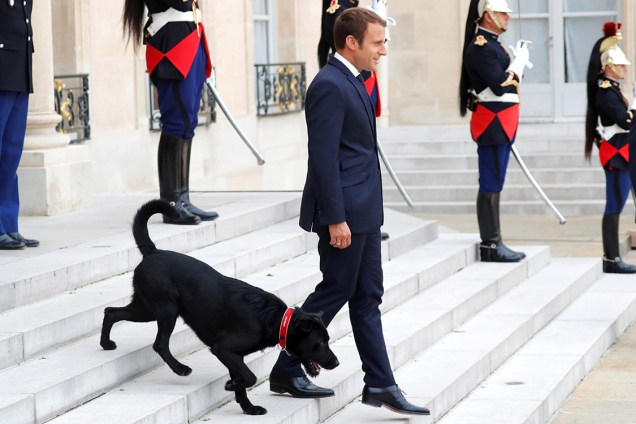 O presidente francês, Emmanuel Macron, deixa o palácio Elysee com seu cachorro, em Paris