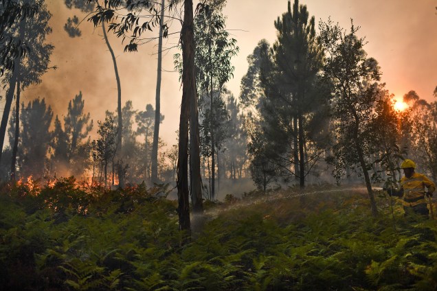 Bombeiros trabalham para conter as chamas do incêndio florestal na vila de Pucarica, em Abrantes, Portugal