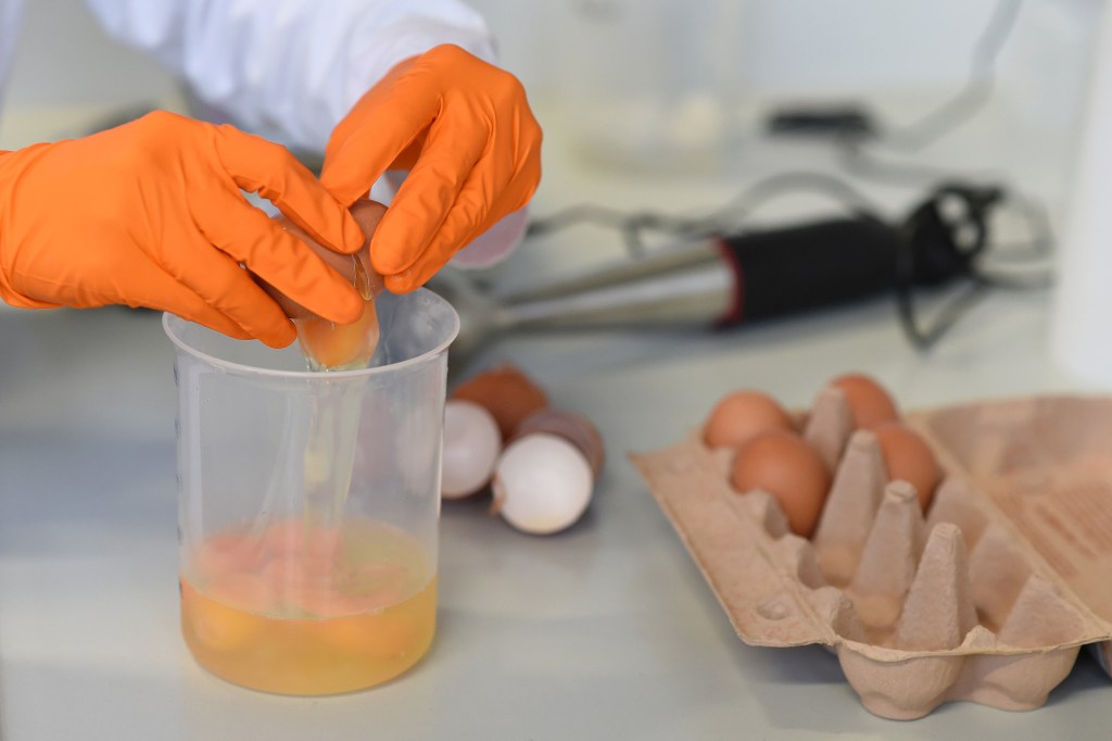 Ovos contaminados com fipronil na Europa
