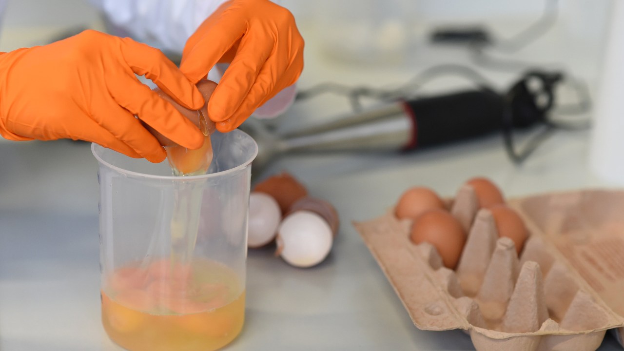 Ovos contaminados com fipronil na Europa