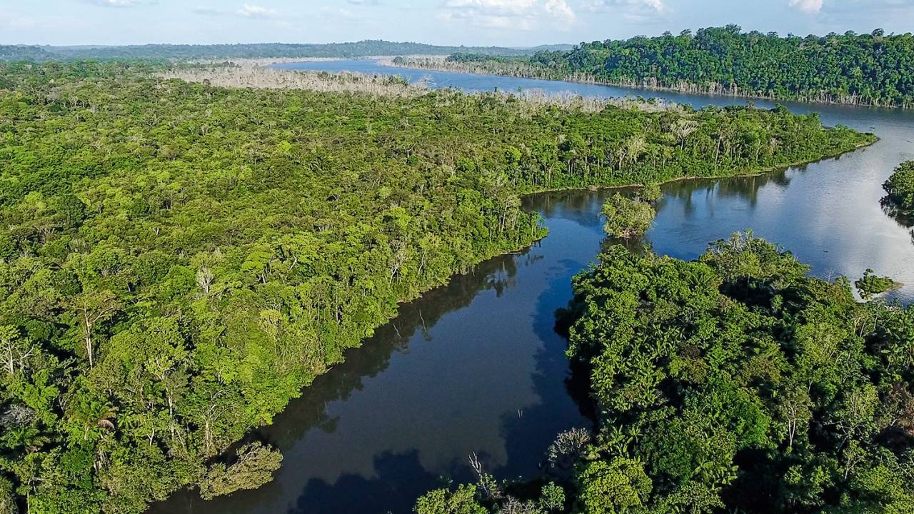 PRECIOSIDADE - Diz o colunista J.R. Guzzo: “Poucos países conseguem tirar tanto da terra e interferir tão pouco na natureza ao redor dela quanto o Brasil”