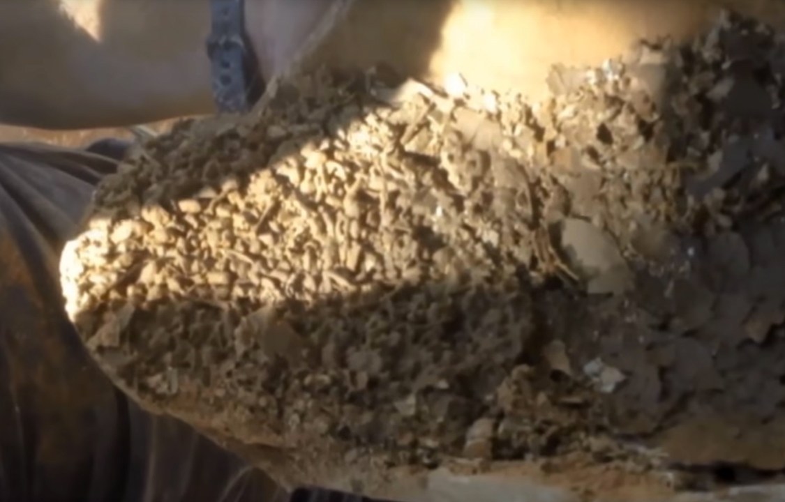 Arqueólogos encontram esqueletos de sapos decapitados dentro de um jarro funerário que havia sido enterrado em Israel