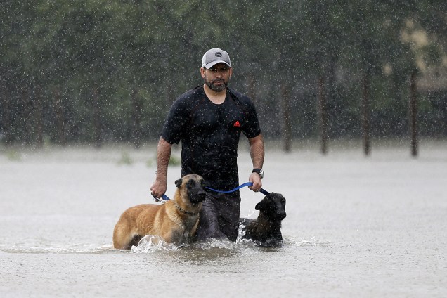 Homem resgata seus dois cachorros em meio à tempestade causada pelo furacão Harvey, no Texas