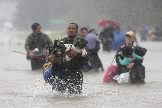 Homem resgata seu pitbull de tempestade que atingiu a costa leste dos Estados Unidos, trazida pelo furacão Harvey