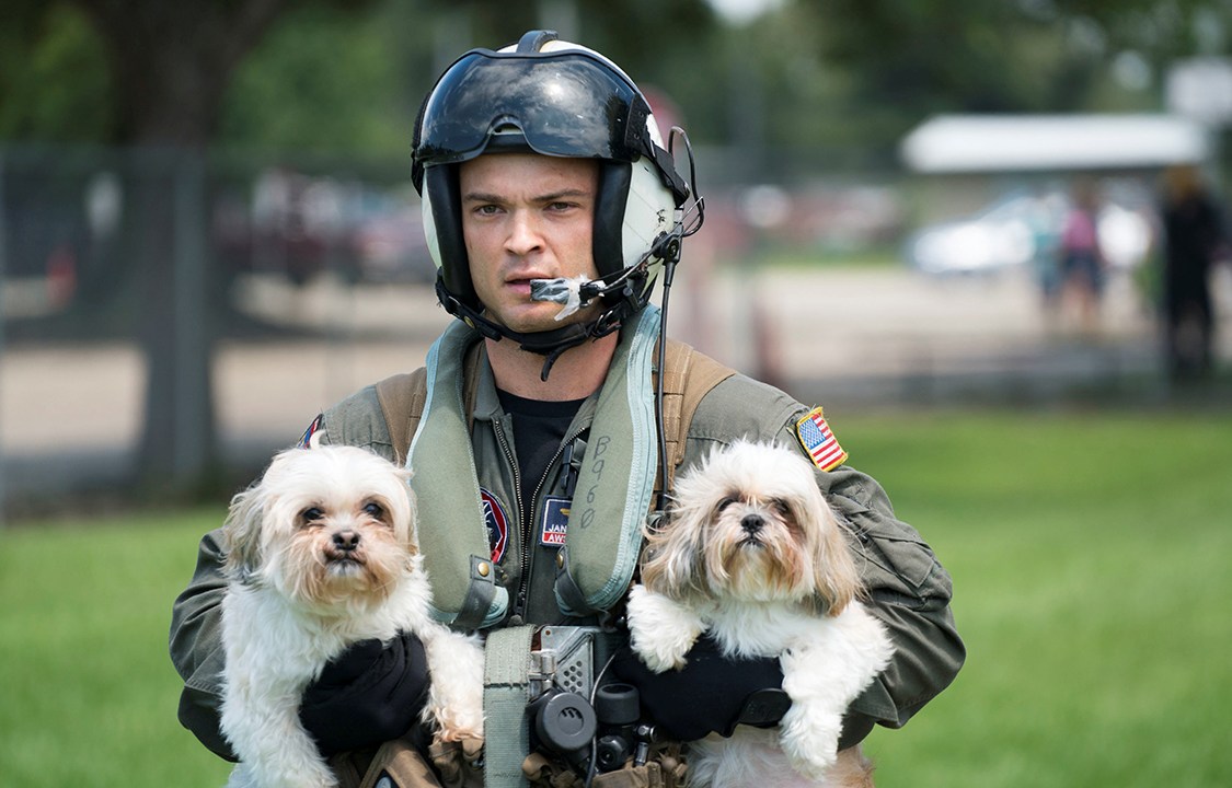 Cachorros são resgatados por membro da força aérea dos Estados Unidos, após furacão Harvey alagar cidades no Texas