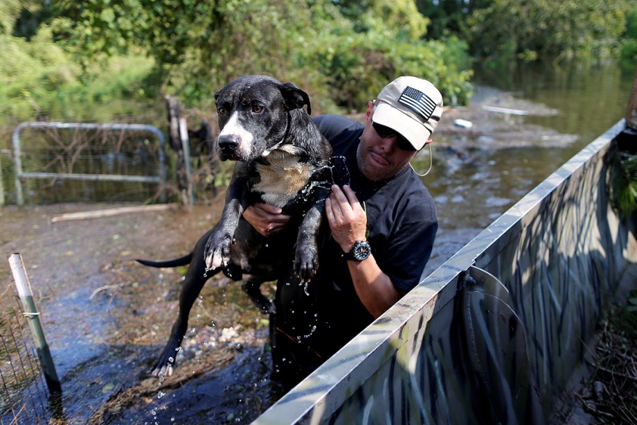 Homem resgata seu cachorro de tempestade que atingiu a costa leste dos Estados Unidos, trazida pelo furacão Harvey