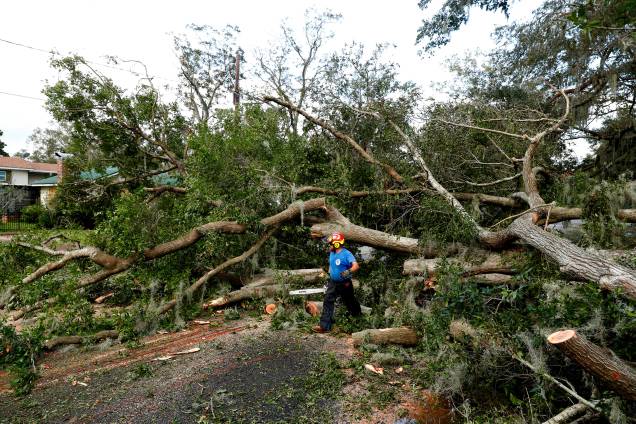 Um funcionário do departamento de obras públicas da cidade de St. Marys, na Georgia, examina uma árvore caída depois da passagem do furacão Irma - 12/09/2017
