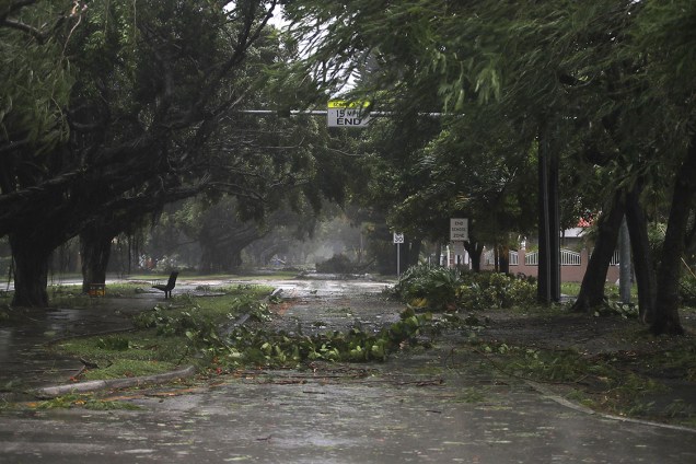Tempestade trazida pelo furacão Irma derruba árvores em avenida de Miami, na Flórida
