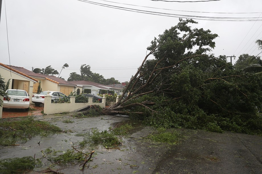 Tempestade trazida pelo furacão Irma derruba árvores em avenida de Miami, na Flórida