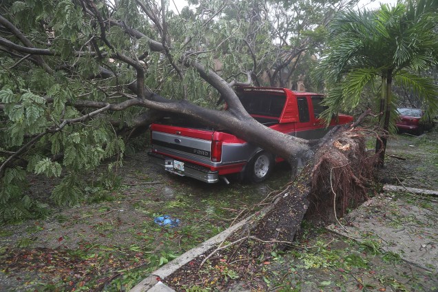 Árvore cai sobre carro em decorrência dos ventos fortes causados pelo furacão Irma, que passa pelo sul da Flórida, nos Estados Unidos