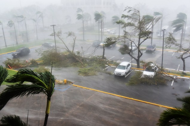 Árvores são derrubadas em um estacionamento no Coliseu Roberto Clemente em San Juan, em Porto Rico, durante a passagem do furacão Maria - 20/09/2017