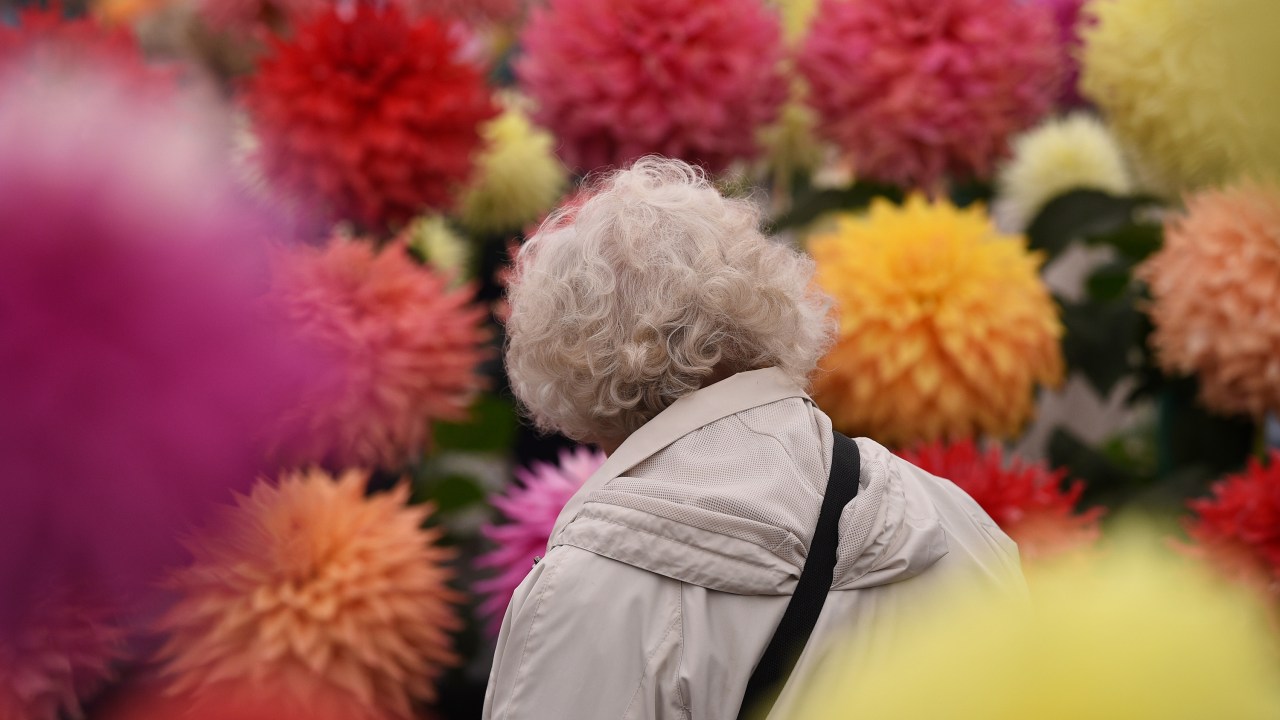 Imagens do dia - Festival de flores em Harrogate, na Inglaterra