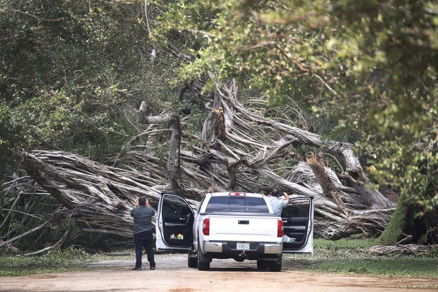 Árvore bloqueia uma estrada após ser derrubada pelos ventos do furacão Irma em Miami, na Flórida - 11/09/2017