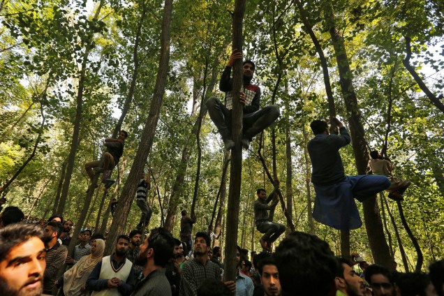 Pessoas sobem em árvores para assistir o funeral de Dawood Illahi Khan, um militante suspeito, que, de acordo com a mídia local, foi morto em um encontro com as forças de segurança indianas, e será enterrado na aldeia de Hawoorah, no distrito de Kulgam, no sul da Caxemira - 11/09/2017