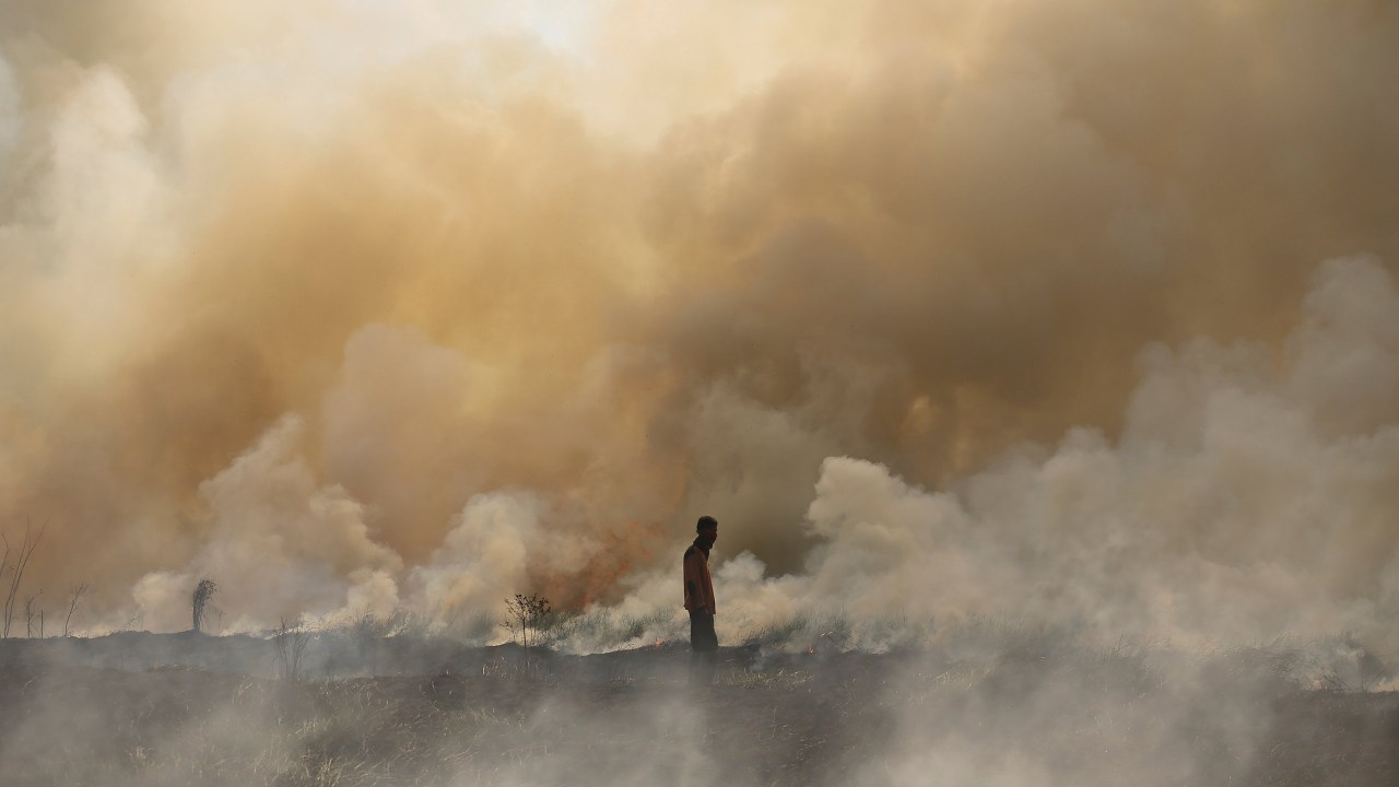 Imagens do dia - Incêndio na Indonesia