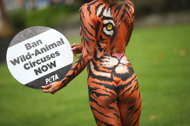 A modelo Joanna Krupa usa uma pintura corporal representando um tigre durante o protesto contra animais em circos, em frente às Casas do Parlamento em Londres, na Grã-Bretanha - 11/09/2017