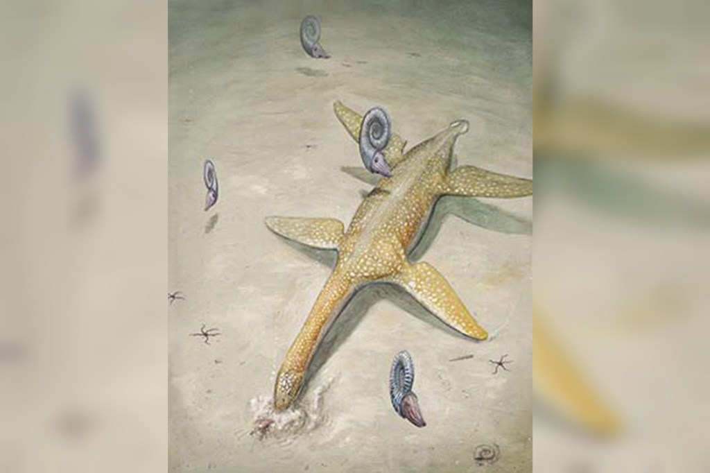 Pesquisadores descobrem nova espécie de réptil jurássico e o apelidam de "monstro marinho"