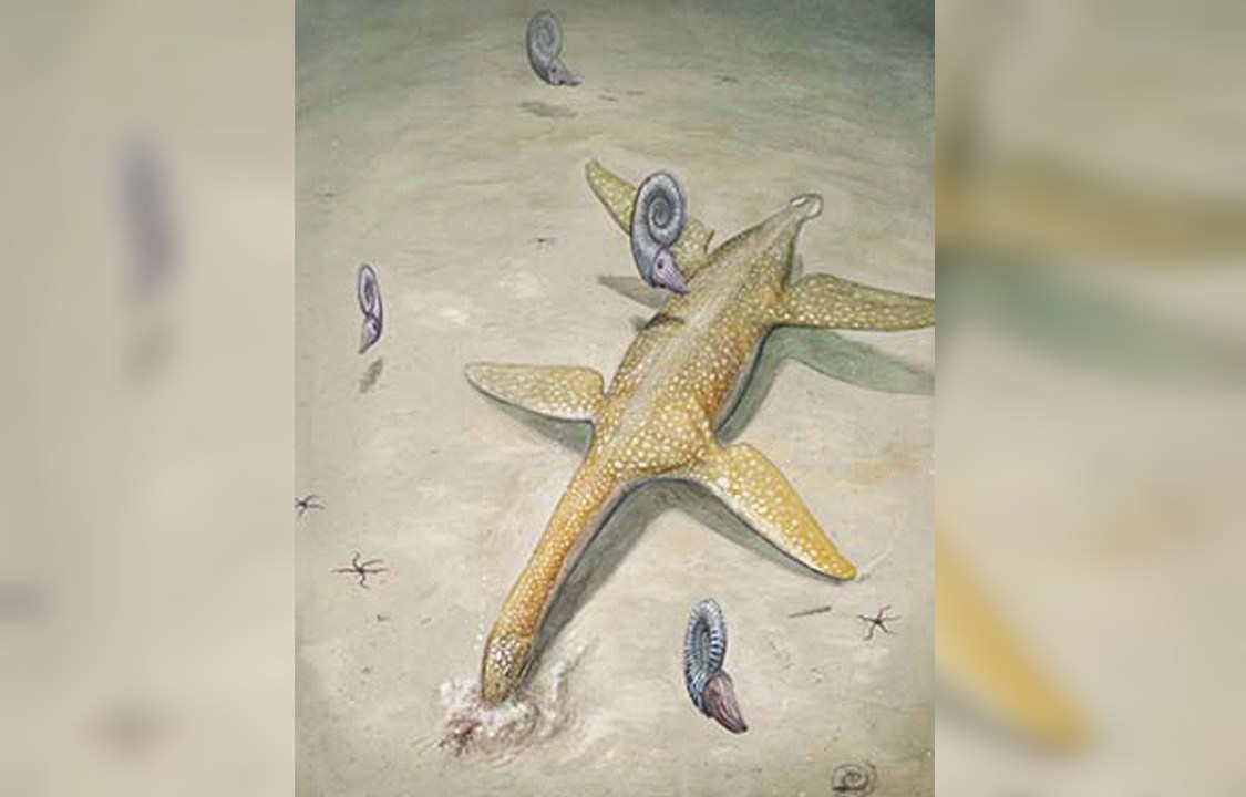 Pesquisadores descobrem nova espécie de réptil jurássico e o apelidam de "monstro marinho"