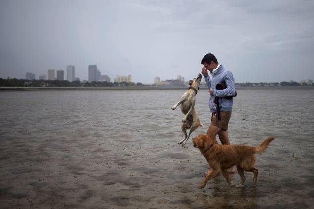 Homem brinca com seus cachorros em Hillsborough Bay antes da chegada do furacão Irma, em Tampa, na Flórida (EUA) - 10/09/2017