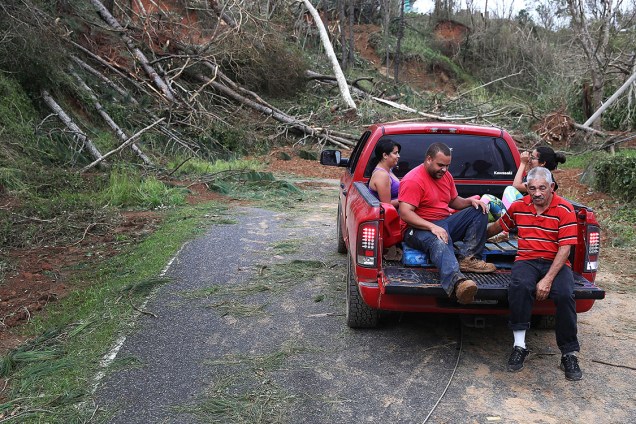 Árvores derrubada pelo furacão Maria obstrui estrada em Hayales de Coamo, Porto Rico