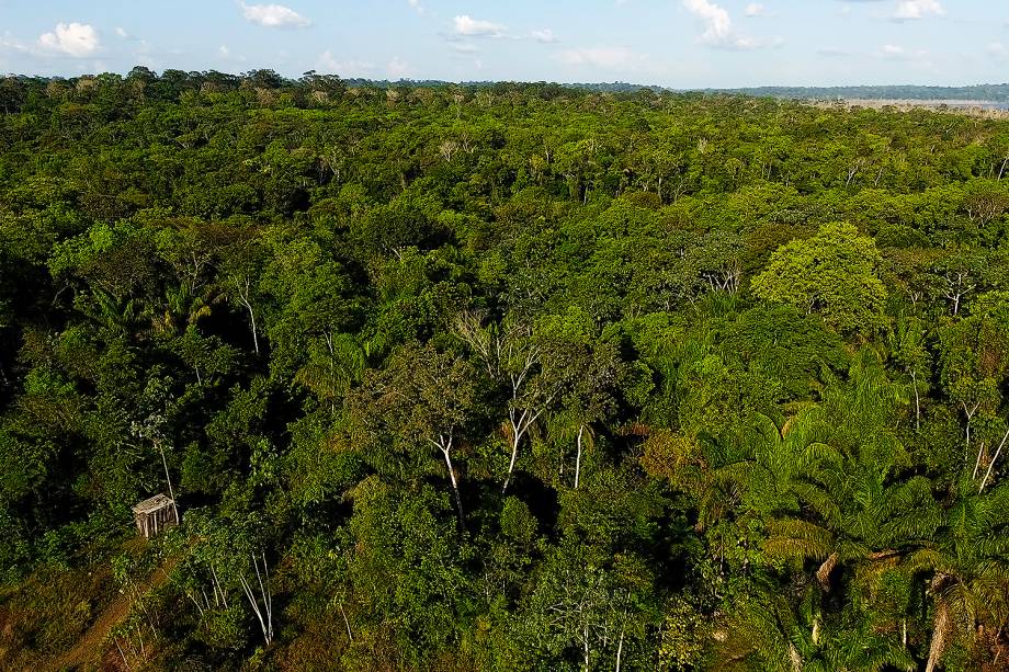 Embora o decreto de extinção da Renca mantenha o nível de preservação na Reserva de Desenvolvimento Sustentável do Rio Iratapuru, a população local teme que a corrida do ouro nas áreas onde a exploração será permitida se torne tão competitiva que garimpeiros clandestinos abram frentes de exploração ilegal, promovam o desmatamento de áreas de que os membros da vila tiram o sustento, os castanhais