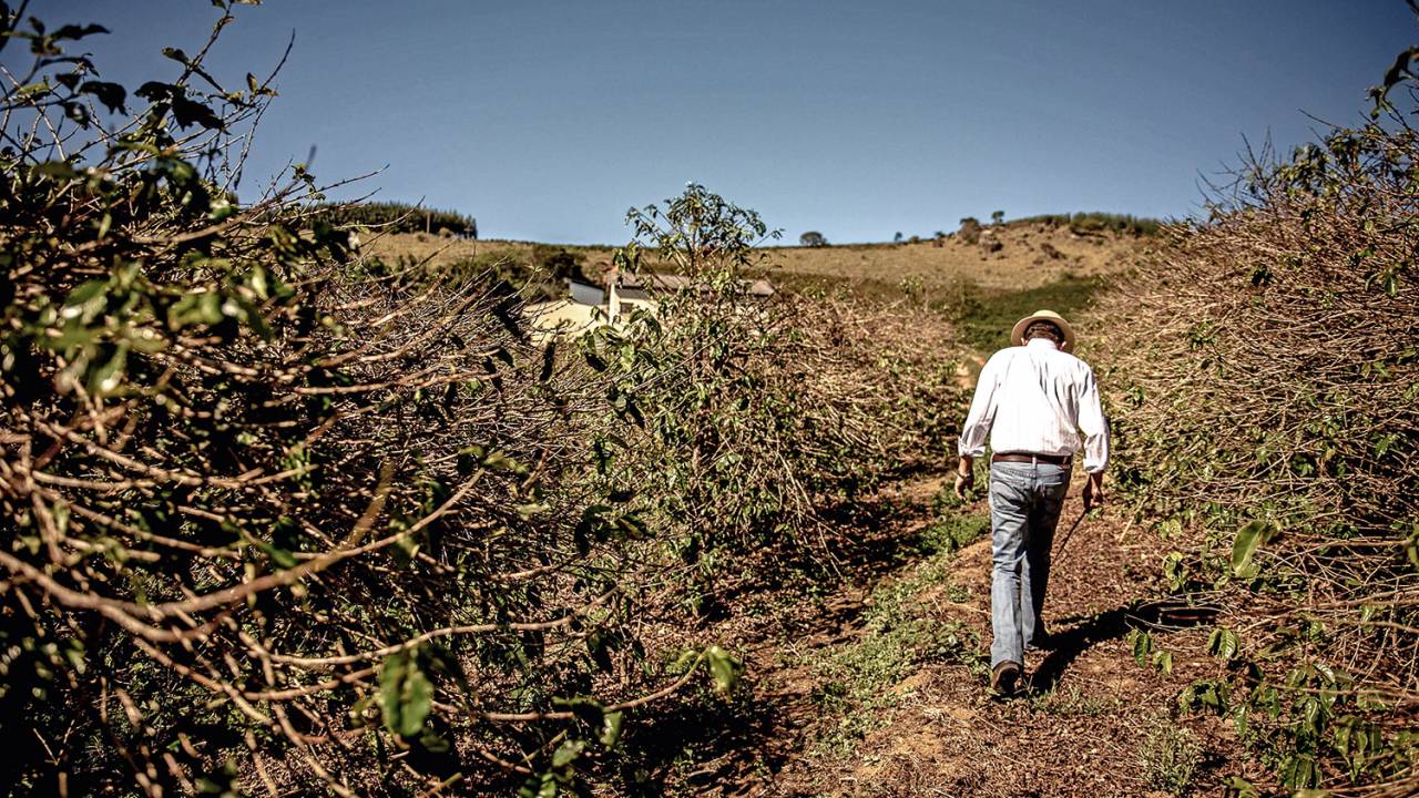 CENÁRIO AMARGO - Fazenda no Rio de Janeiro atingida por seca em 2016: o Brasil pode ser um dos países mais afetados