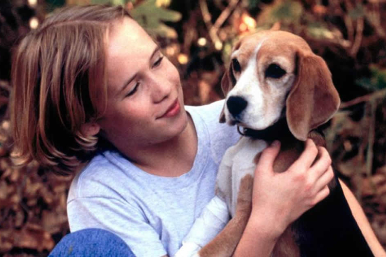 Shiloh-2