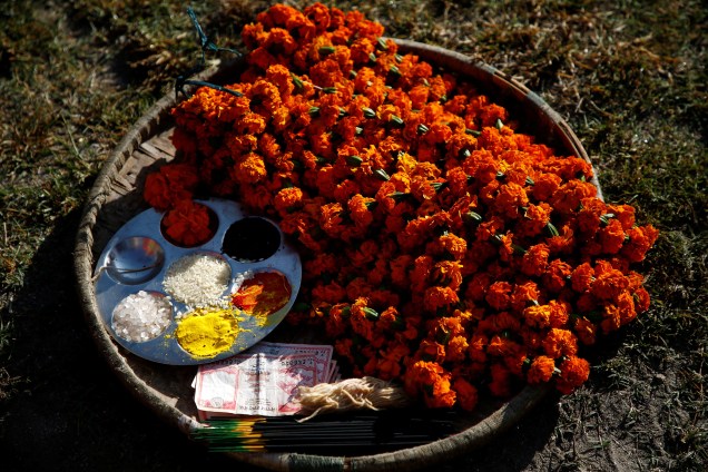 Oferendas utilizadas na adoração das vacas durante cerimônia religiosa do Festival Tihar, também chamado Diwali, em Katmandu, no Nepal - 19/10/2017
