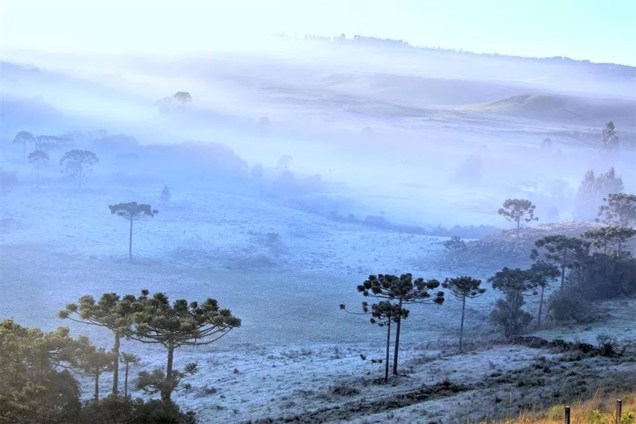 No alto da Serra Catarinense uma geada esfriou o município de São Joaquim, em Santa Catarina. As temperaturas bateram -3,0ºC nesta manhã - 23/10/2017