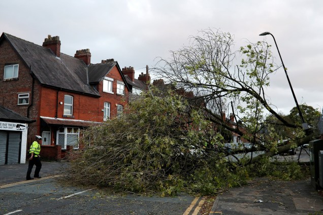 Uma árvore é derrubada pelos fortes ventos da tempestade Ophelia, em Sale, na Inglaterra - 16/10/2017