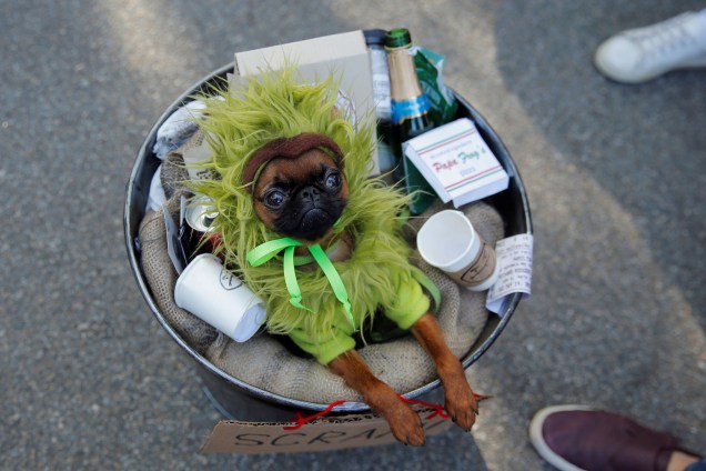 Cão vestido como Oscar o Rabugento, personagem da Vila Sésamo, participa do desfile anual de Halloween no Tompkins Square Park em Nova York