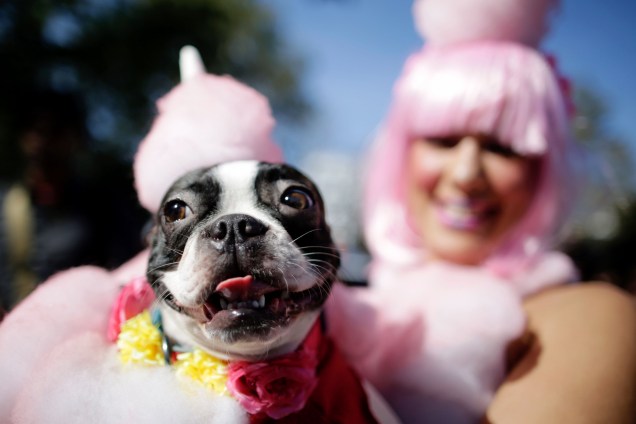 O evento é um dos maiores dedicados ao Halloween com animais nos Estados Unidos com mais de 500 participantes