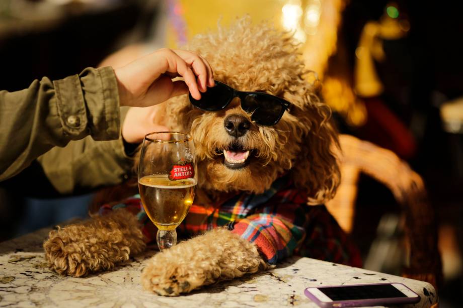 Cão fantasiado participa da 27ª parada anual de Halloween no Tompkins Square Park em Nova York
