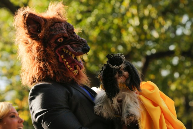 Cão fantasiado participa da 27ª parada anual de Halloween no Tompkins Square Park em Nova York