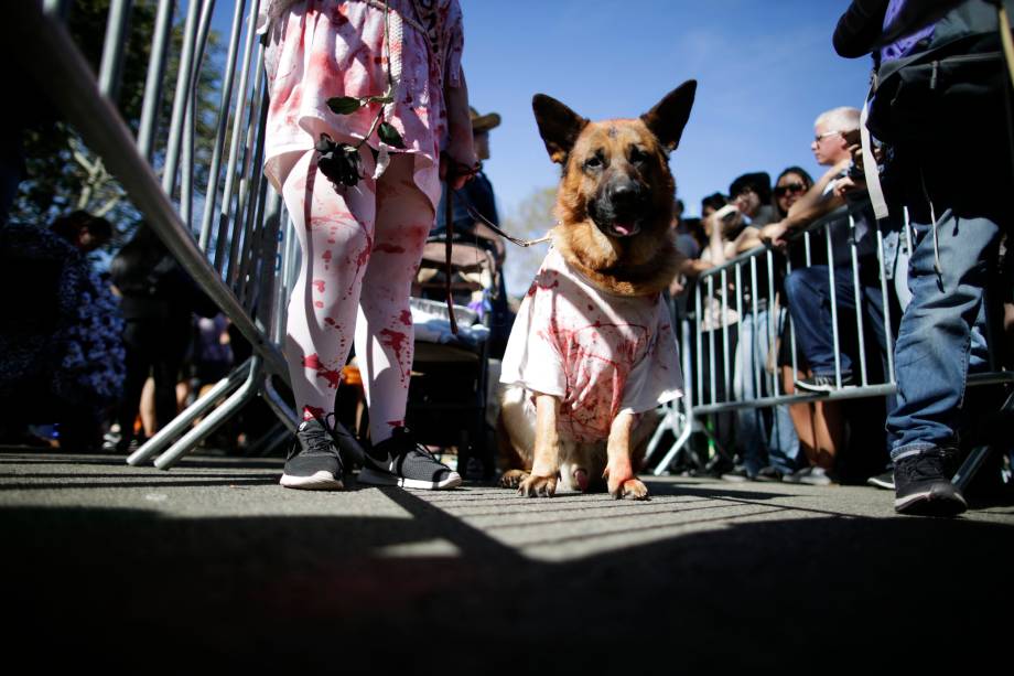 Cão fantasiado participa da 27ª parada anual de Halloween no Tompkins Square Park em Nova York