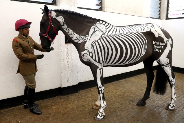 Cavalo chamado Quinn, recebe a pintura de um esqueleto para ajudar a educar os oficiais antes de uma visita oficial da rainha Elizabeth II e do Príncipe Charles ao Regimento Montado da Cavalaria Doméstica no Hyde Park Barracks em Londres - 24/10/2017