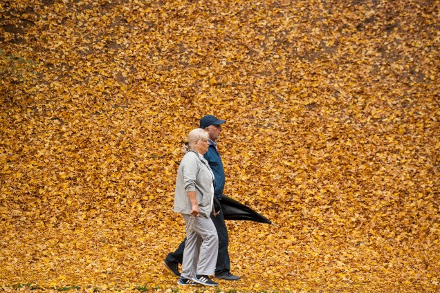 Um casal é fotografado caminhando em um parque com o chão coberto pelas folhas amarelas do outono, perto de Pristina, em Kosovo - 23/10/2017
