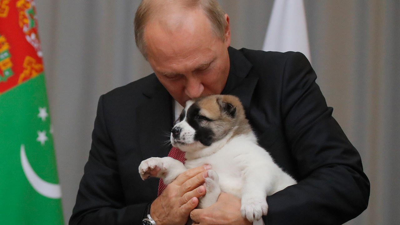 Presidente do Turcomenistão leva cachorro para Putin em reunião