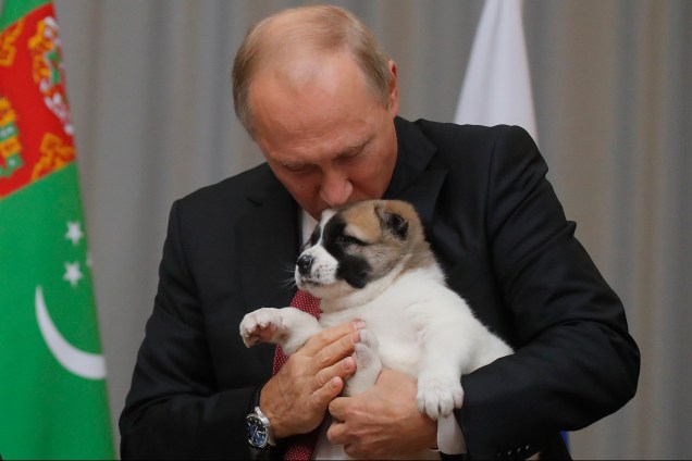 Vladmir Putin beija o cão pastor turco que o presidente do Turcomenistão, Gurbanguly Berdimuhamedov, deu à ele durante uma reunião em Sochi, na Rússia - 11/10/2017