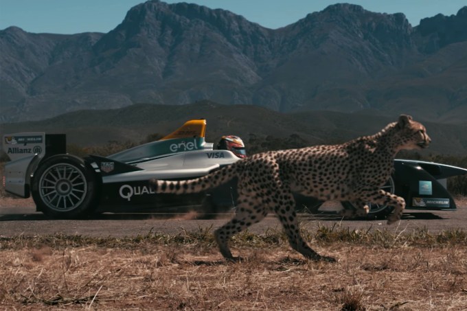 Formula E faz campanha de proteção aos guepardos