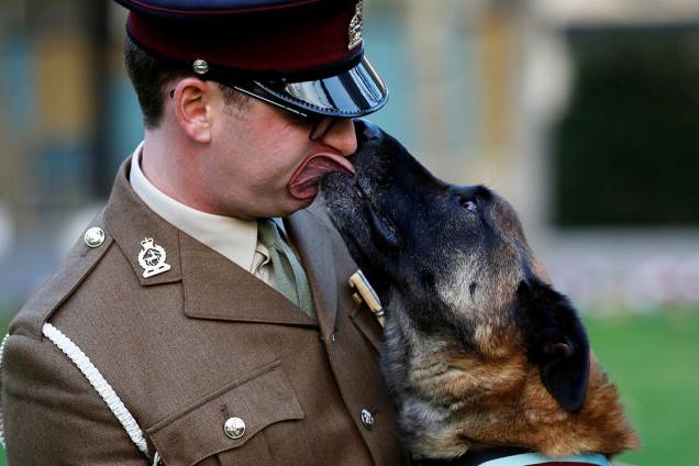 Mali, um cachorro militar britânico, lambe o rosto de seu líder, o cabo Daniel Hatley, após receber uma medalha por ações heroicas em missão no Afeganistão, em Londres - 17/11/2017