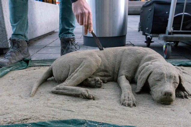 O artista e pintor húngaro Janos Szecsi faz os últimos ajustes em sua escultura de areia de um cachorro em Viena, na Áustria - 14/11/2017