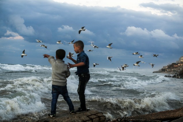 Garotos palestinos brincam com gaivotas em uma praia na Faixa de Gaza - 22/11/2017