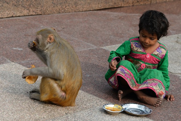 Macaco come um pedaço de pão que acaba de roubar da criança ao seu lado, do lado de fora de um templo em Nova Deli, na Índia - 16/11/2017