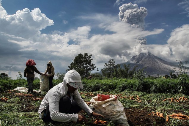 Agricultores trabalham em uma horta de cenoura enquanto o vulcão Monte Sinabung expele fumaça ao fundo, na regência de Karo, na Indonésia - 16/11/2017