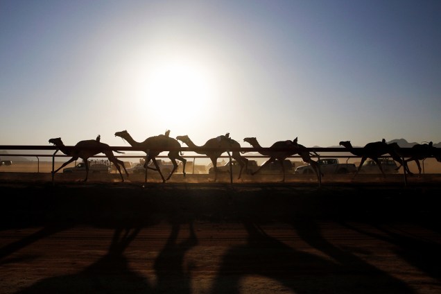 Camelos disputam corrida no Wadi Rum, parque localizado na Jordânia - 02/11/2017