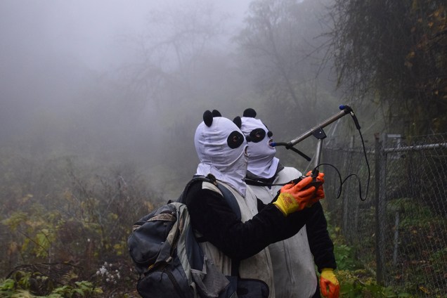 Funcionários vestidos de panda utilizam equipamento para rastrear urso panda recém inserido à natureza selvagem após passar por um período de reabilitação em Wolong, na China - 21/11/2017