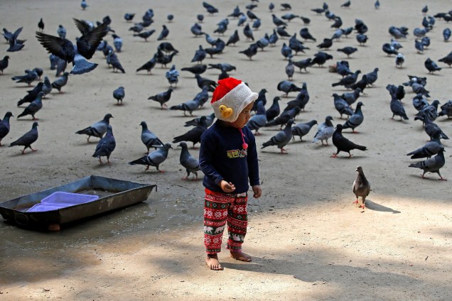 Menino alimenta pombos em uma manhã fria na cidade de Calcutá, na Índia - 29/11/2017